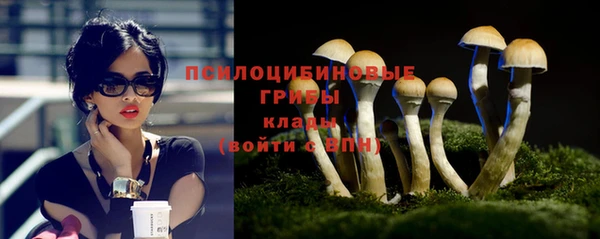 apvp Ладушкин