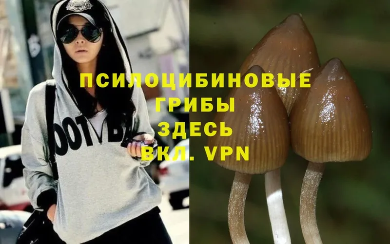 Галлюциногенные грибы MAGIC MUSHROOMS  где купить наркоту  Мамоново 